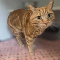 Photo of Franny
