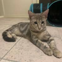 Photo of Zoe 
