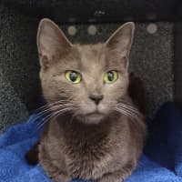 Photo of Velma