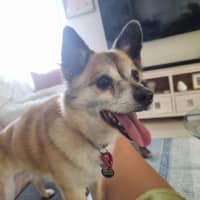 Photo of Leo O’cleary