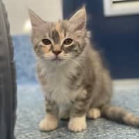 Photo of Princess