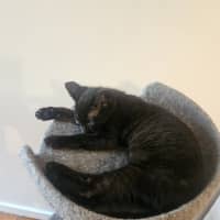 Photo of Clawdia