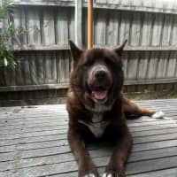 Photo of Strika