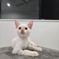 Photo of Nimbus