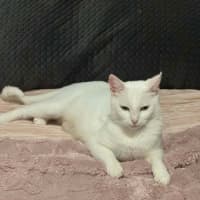 Photo of Jewel