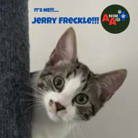 Photo of Jerry Freckle