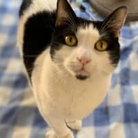 Photo of Pancake