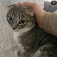 Photo of Dakota