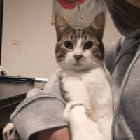 Photo of Flip