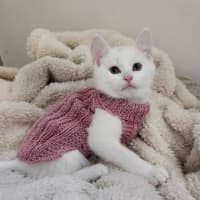 Photo of Freckle