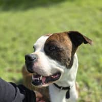Photo of Tank