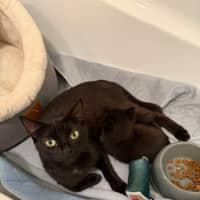 Photo of Ebony & Pip 