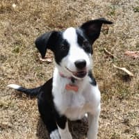 Photo of Maliyah (Now Maisy)