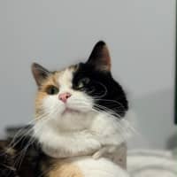 Photo of Lola
