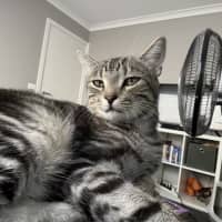 Photo of Finn