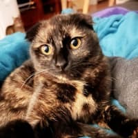 Photo of 🍹Paloma🍹