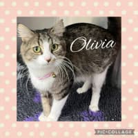 Photo of Olivia 