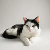 Photo of Winnie