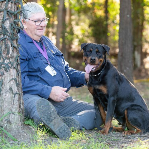 Mochi - Rottweiler Dog