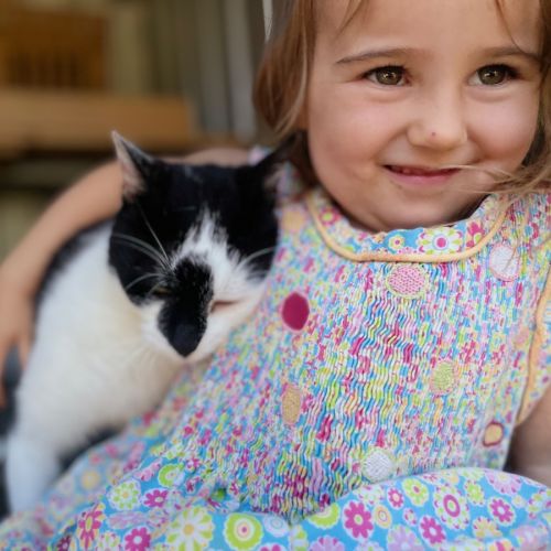 Lisa & Archie - Domestic Short Hair (DSH) Cat