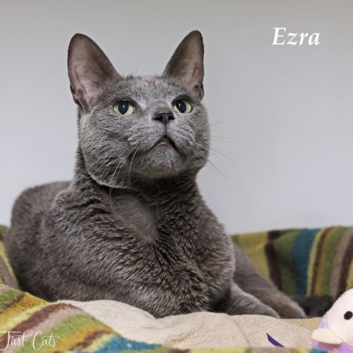Ezra