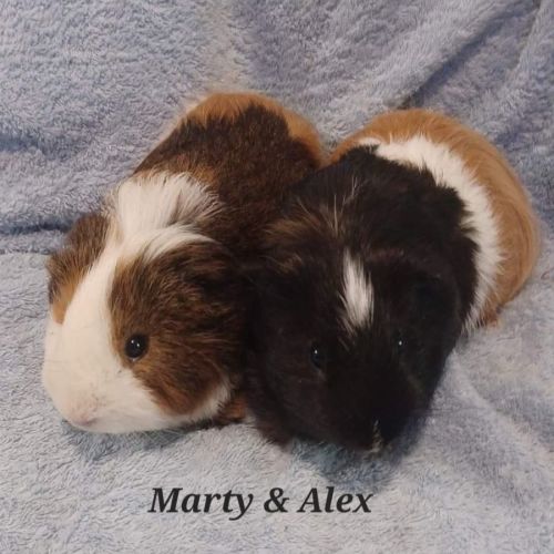 Marty & Alex