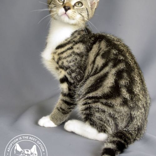 No photo for Buster Rhymes