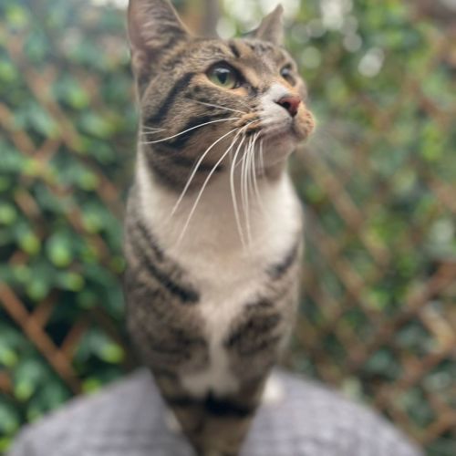 No photo for Sutton   Best Buds With Kevin   Check His Profile