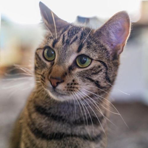 Eva - Located in Preston