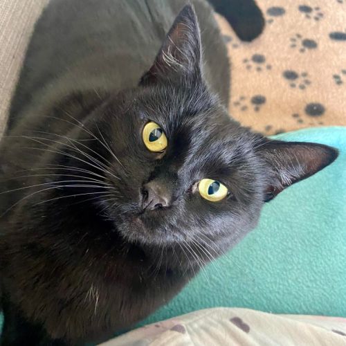 Jet - Located in Reservoir