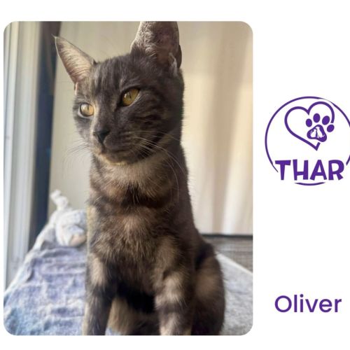 Oliver