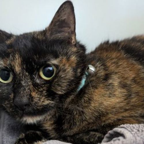 Delilah