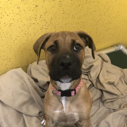 Fiona