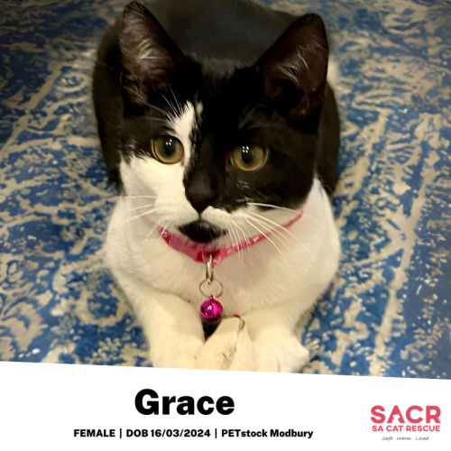 Grace