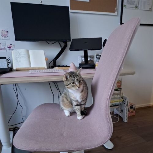 *Pending Adoption* Bryn