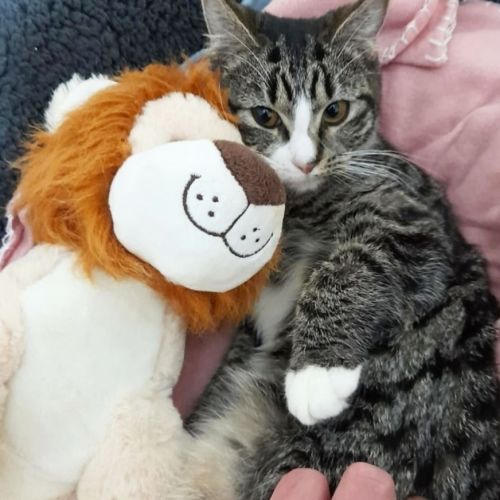 Tabitha 