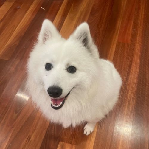 Casper 