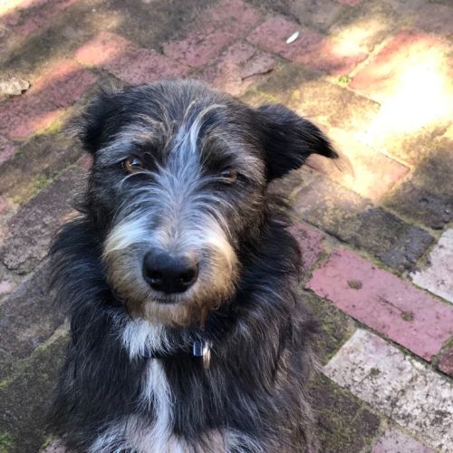 Winnie