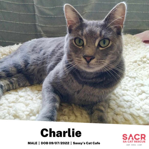 Charlie