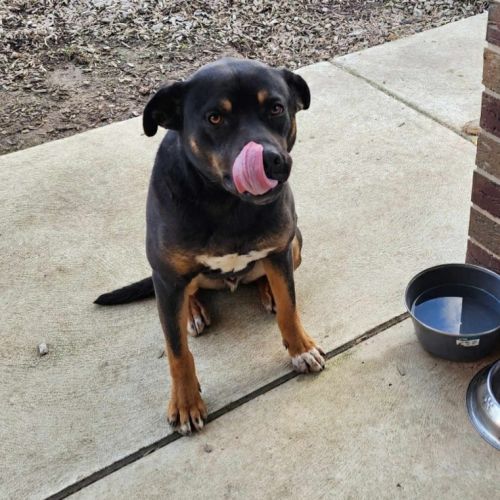 Max