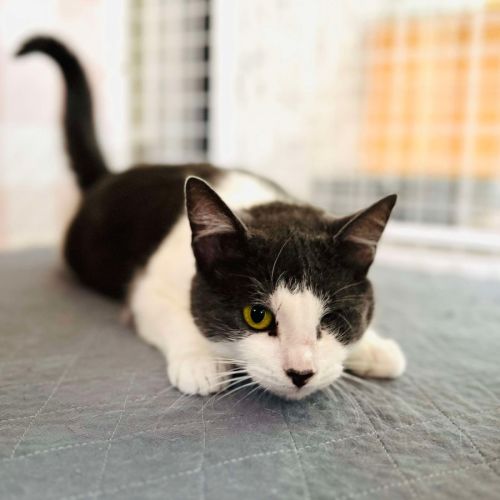 Bonnie - Located in Preston