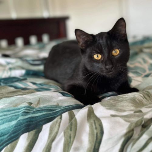 Stormie 🖤