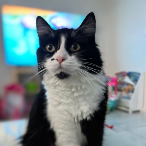 Winnie
