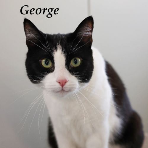 George