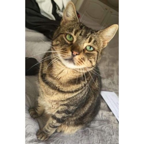 No photo for 3510   Mac