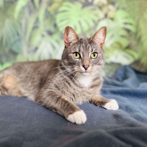 Greg - Located in Preston