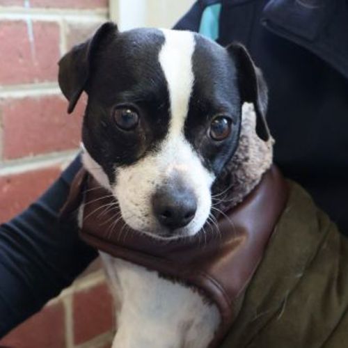 Lili