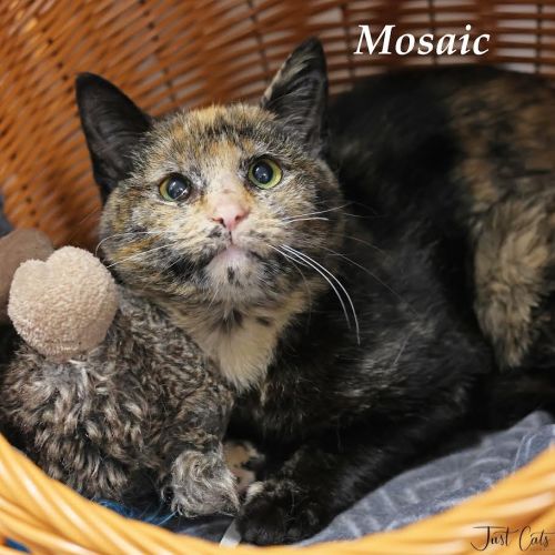Mosaic