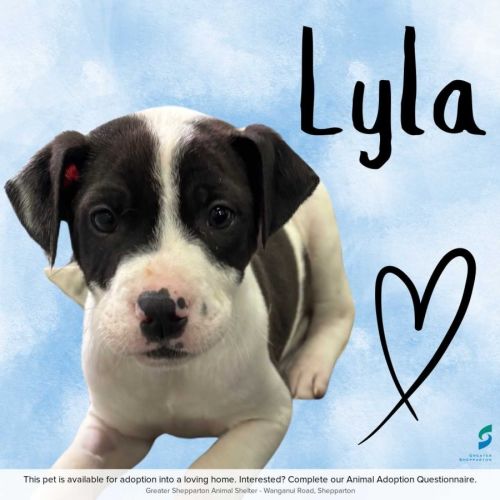 Lyla