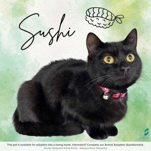 Sushi